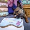Bone Cookie Cake 6